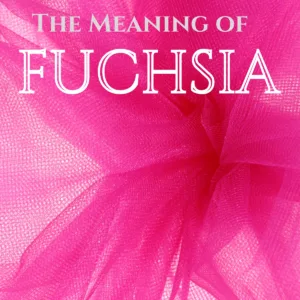 The Color Fuchsia: Its Meaning and Symbolism