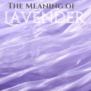 The Meaning of the Color Lavender